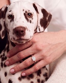 Instagram Post Image