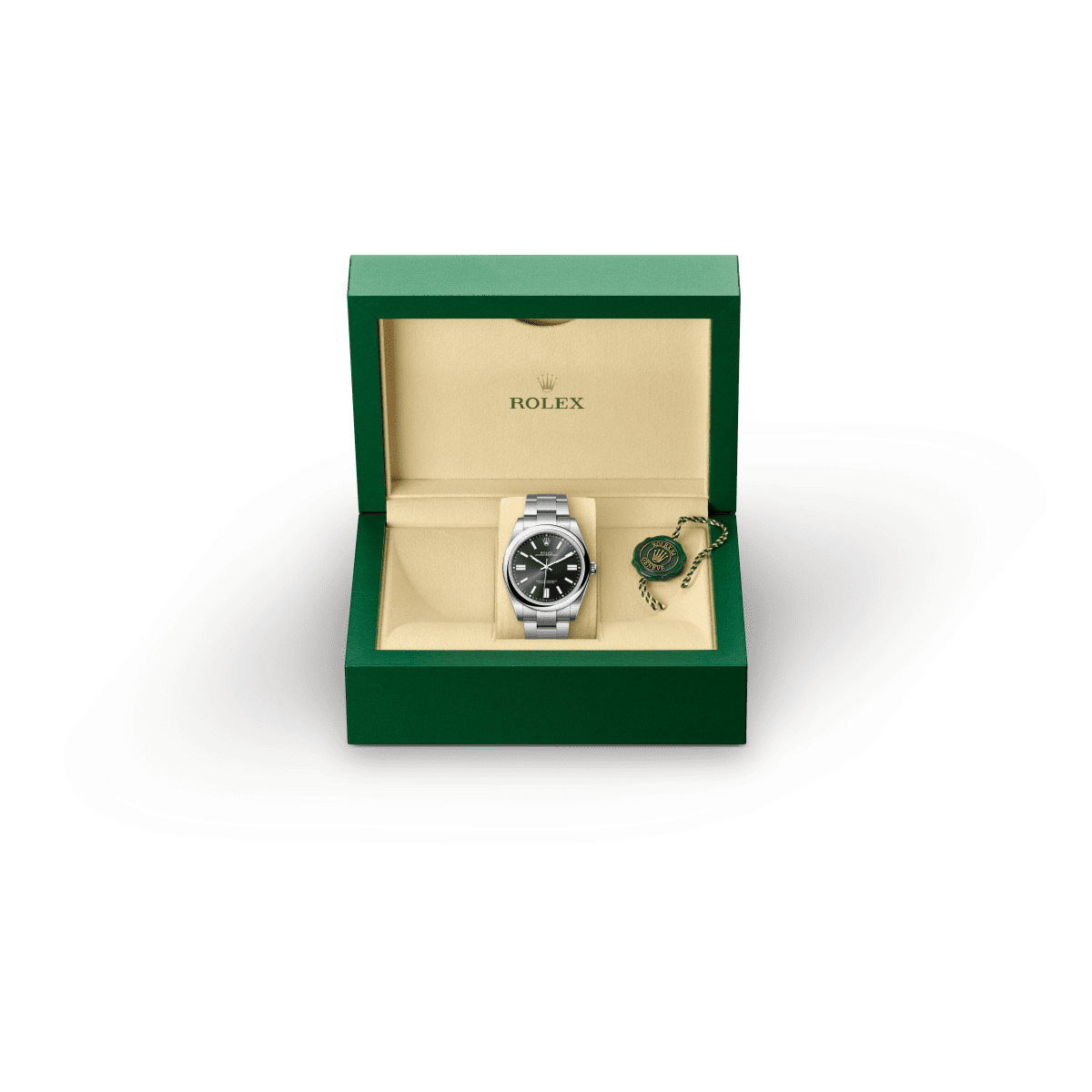 Rolex Oyster Perpetual 41 Oyster, 41 mm, Oystersteel M124300-0002