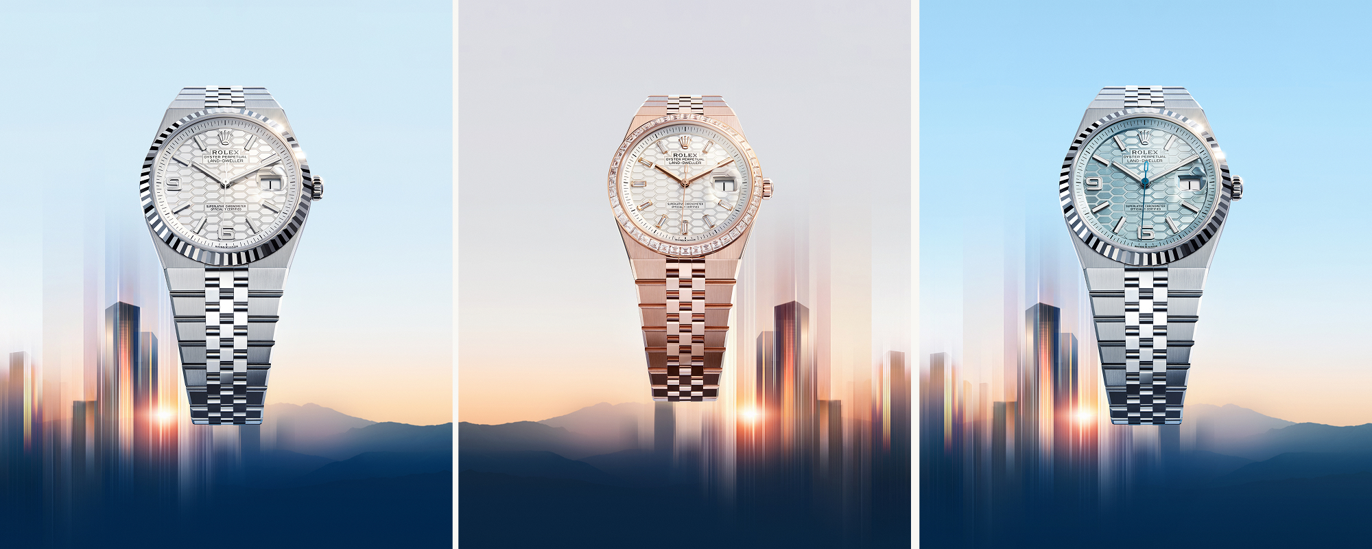 Neue Rolex Land-Dweller - Juwelier Wagner
