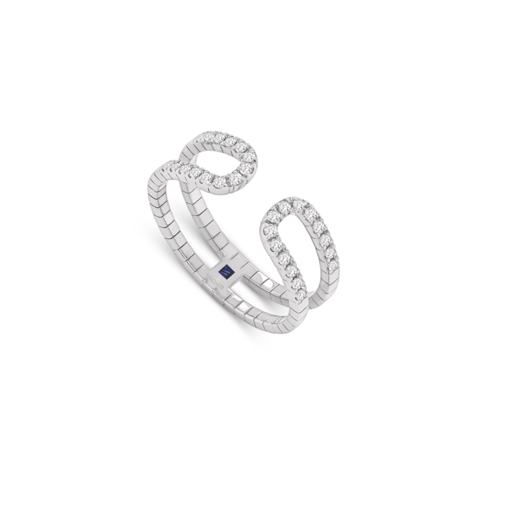 Rivière-Flow Image